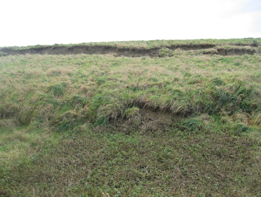 Photo of longitudinal crack in bank - supporting image