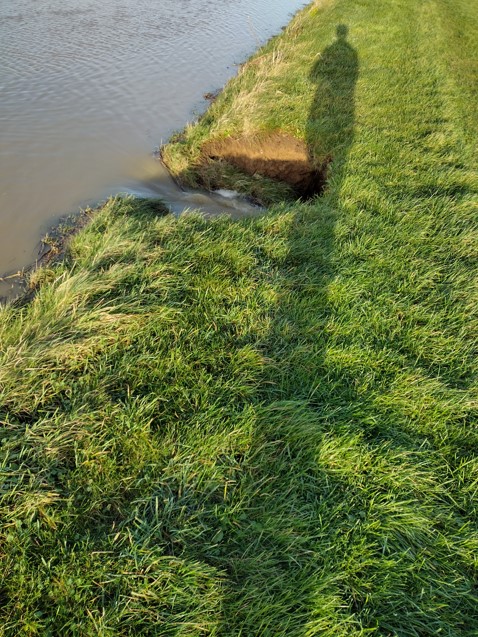 Photos of breach - supporting image