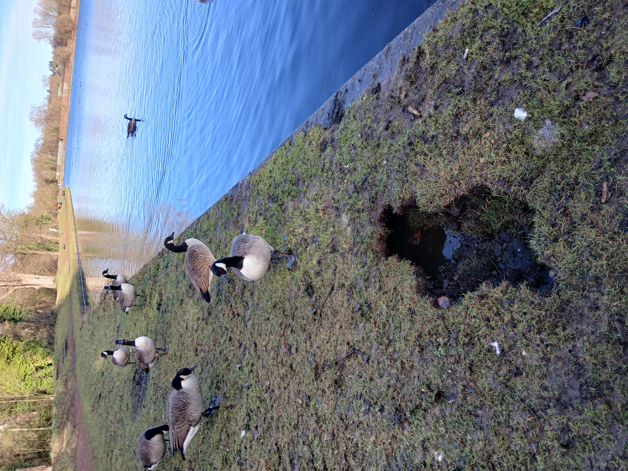 Photo of sinkhole - supporting image